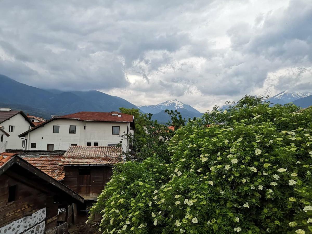 Todeva House Hotel And Tavern Bansko Exterior photo